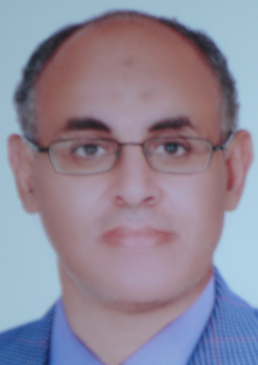 Nasser Elsayed Khader